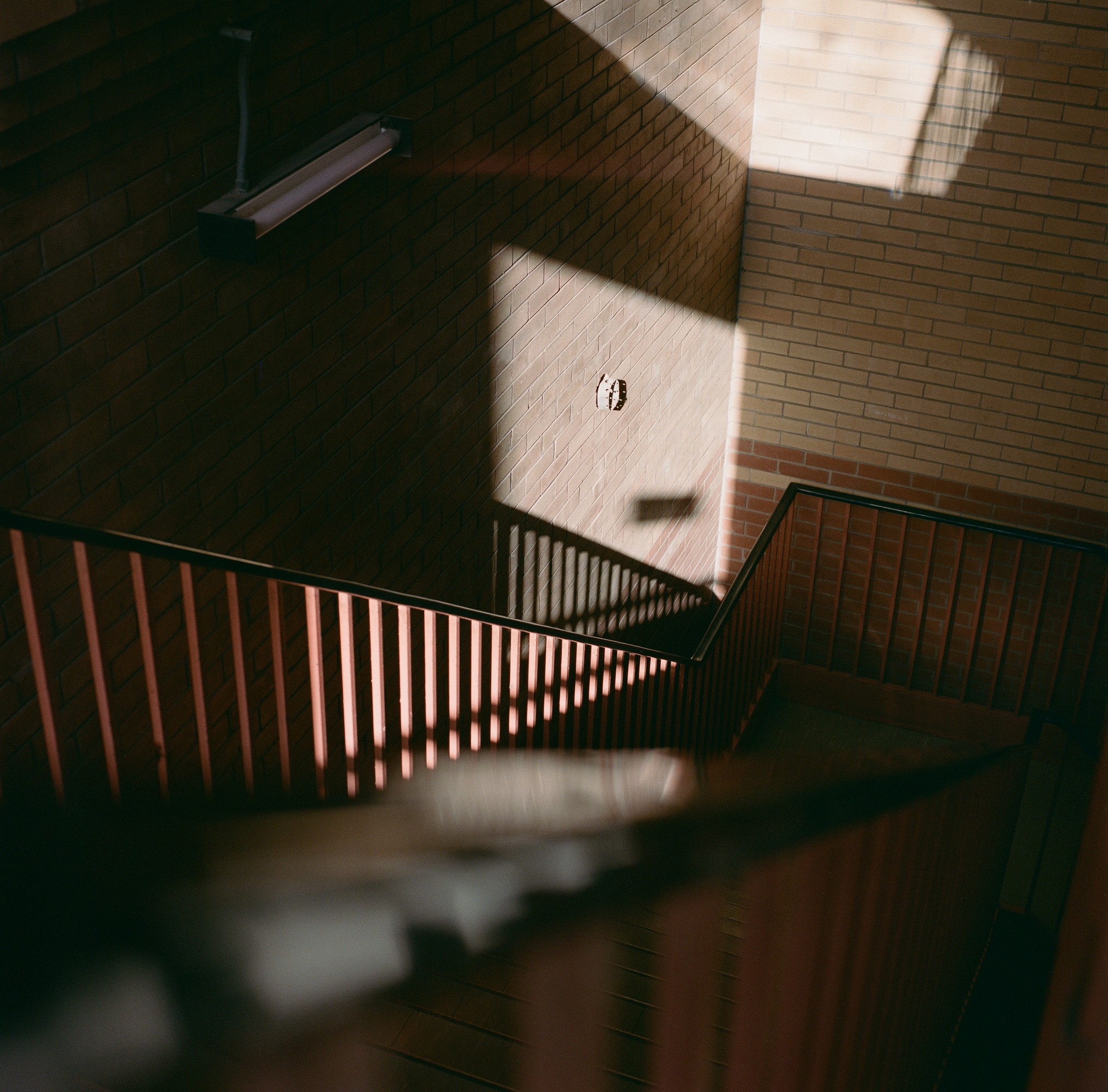 01 / Film